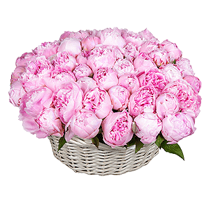 Basket of 51 delicate peonies with delivery Ryazan