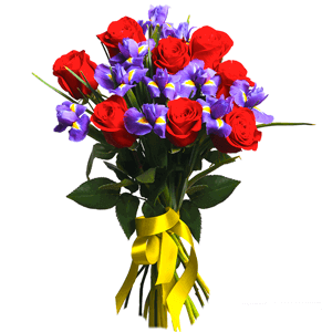 Irises - 16, Red rose 50 cm - 11, Ribbon