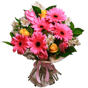 Pink rose 50 cm - 7, Yellow rose 50 cm - 4, Gerbera pink - 7, Alstromeria white, soft pink - 7, Salal, Sisal, Ribbon