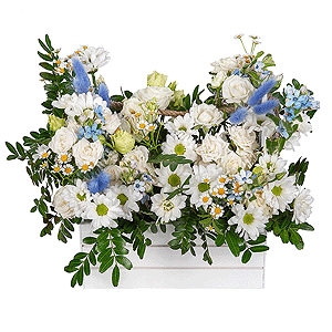 Bacardi White Spray Chrysanthemum - 2, lisianthus - 2, Chamomile - 8, Spray rose: white, cream, light pink 50 cm - 6, Wooden pot, Oasis, Oksipetalum, Pistachio, Dried flowers in assortment
