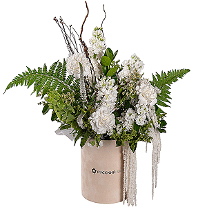 Carnation white, cream - 11, White Matthiola - 4, Round flower box small , Oasis, Veronica spray, Fern (1 pc.), Artificial branch, White statice, Pittosporum, Amaranth stabilized, Moluccella