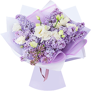 Lilac whisper with delivery Ryazan