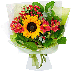 Sunflower - 1, Alstromeria Red, Bright Pink - 5, Hypericum, Salal, Wrapping Paper, Ribbon, Eucalyptus Cinerea