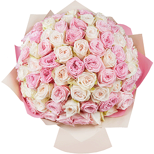 Peony style roses - 163, Wrapping Paper, Ribbon