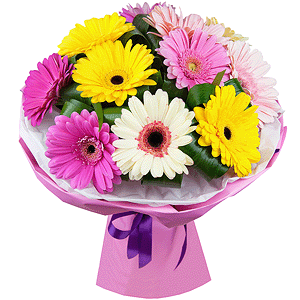 Playful gerberas with delivery Ryazan