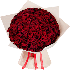 Rose Red 50 cm Ecuador - 161, Wrapping Paper