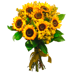 Sun kissed with delivery Ryazan