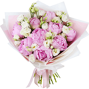 Peony pink - 15, lisianthus - 5, Wrapping Paper