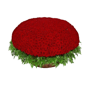 Red rose 50 cm - 1301, Huge basket, Fern (1 pc.), Oasis
