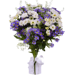 Gentle words with delivery Ryazan