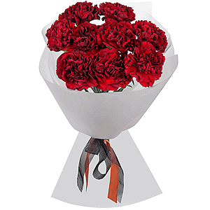 Carnation red - 11, Film, Ribbon
