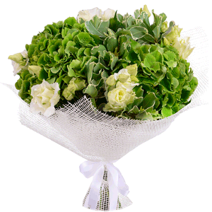 Green Hydrangea - 3, lisianthus - 9, Pittosporum, Jute 1 meter, Ribbon