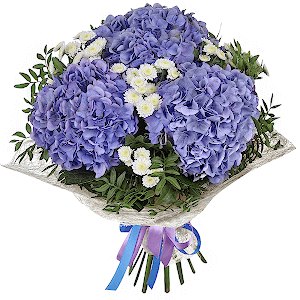 Blue/purple hydrangea - 4, Athos poms Stallion - 4, Pistachio, Sisal, Ribbon