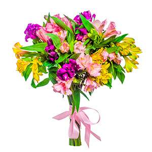 11 Alstroemerias with delivery Ryazan