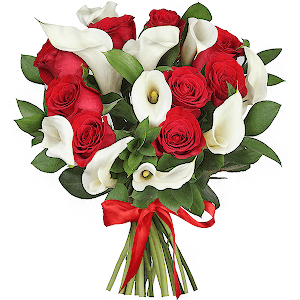 Classics with delivery Ryazan