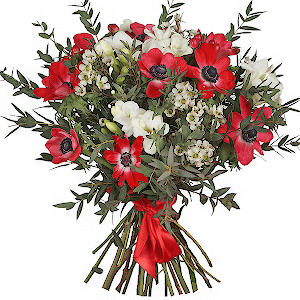 Red anemone - 14, Freesia - 9, Waxflower (1 pc.), Hypericum, Eucalyptus parvifolia (1 pc.), Ribbon