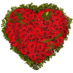 Red rose 50 cm - 67, Asparagus setaceus (1 pc.), Oasis Heart shape (40x40 cm), Fern (1 pc.)
