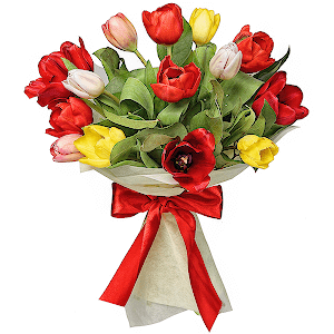 15 Tulips with delivery Ryazan
