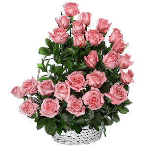 For the Insuperable with delivery Ryazan