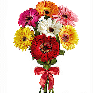 Bright Smile with delivery Ryazan
