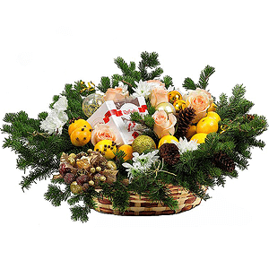 A New Year surprise with delivery Ryazan