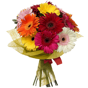 Splash of Emotions with delivery Ryazan