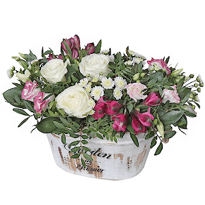 White rose 50 cm - 4, lisianthus - 3, Athos poms Stallion - 2, Alstromeria Red, Bright Pink - 3, Pistachio, Ruscus, Oasis, Wooden pot