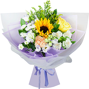 Bright highlights with delivery Ryazan