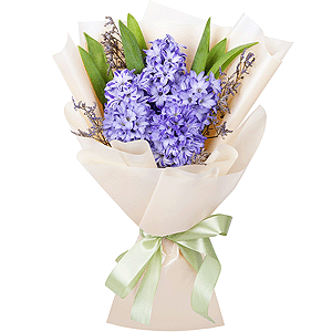 Honey aroma with delivery Ryazan