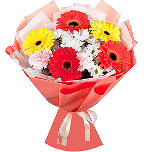 Summer kiss with delivery Ryazan
