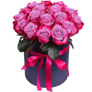 Violet roses with delivery Ryazan