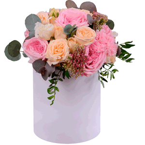 David Austin peonyroses - 11, Spray rose: white, cream, light pink 50 cm - 7, Pink carnation - 5, Eucalyptus Cinerea, Pistachio, Round flower box small , Oasis, Sedum