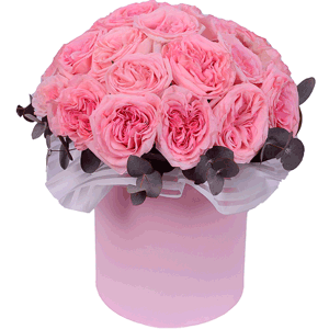 Peony style roses - 33, Eucalyptus Cinerea, Round flower box medium, Oasis, Film