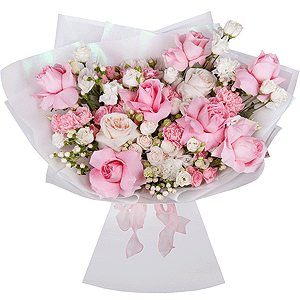 Aristocrat with delivery Ryazan