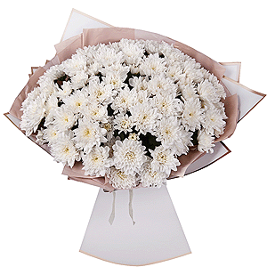 Chrysanthemum bush with delivery Ryazan
