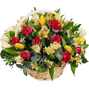 Spring swallow with delivery Ryazan