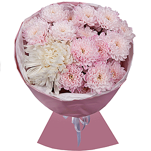 Magical Moments with delivery Ryazan