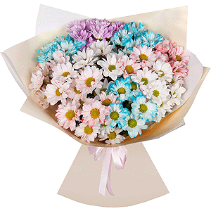 Palette of Joy with delivery Ryazan