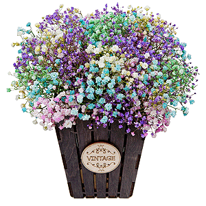Colored gypsophila - 9, Oasis, Film, Wooden pot