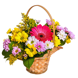 Сorporative present with delivery Ryazan