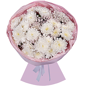 Magical Dreams with delivery Ryazan