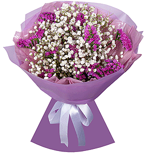 Gypsophila - 5, Pink Statice, Wrapping Paper