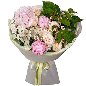 Summer Etude with delivery Ryazan