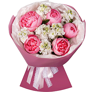 Peony pink - 5, White Matthiola - 8, Wrapping Paper