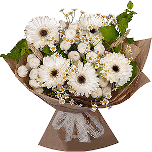 Chamomile Morning with delivery Ryazan