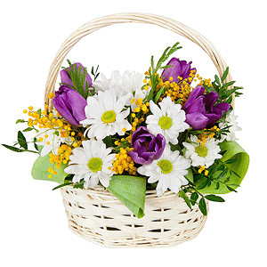 Sunny march with delivery Ryazan