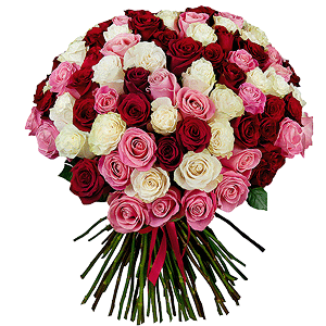 Bouquet of 101 multi-colored roses Premium Ecuador with delivery Ryazan