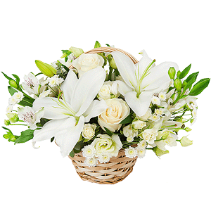 Lovebirds with delivery Ryazan