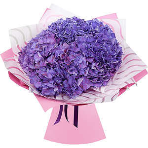 Bouquet of lilac hydrangeas with delivery Ryazan
