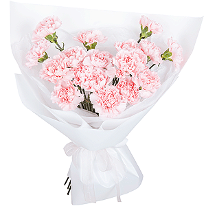 Heartfelt greetings with delivery Ryazan